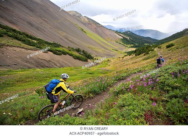 A male and female mountain biker descend the perfect singletrack trails of Spruce Lake Protected Area, Southern Chilcotins, British Columbia, Canada