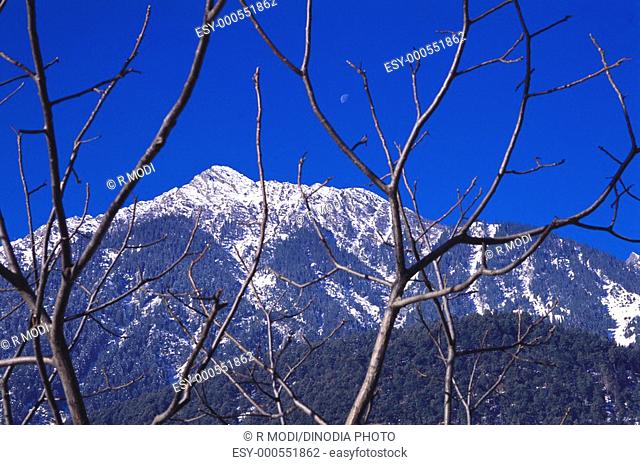 Peak , Pahalgam , Srinagar , Jammu and Kashmir , India