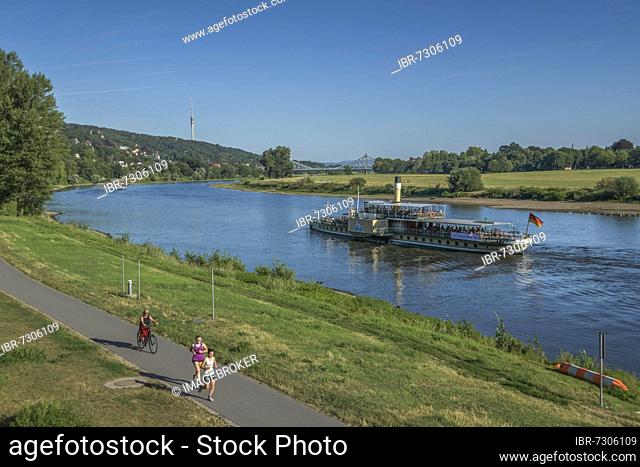 Steamboat Stadt Wehlen, Elbe, Dresden, Saxony, Germany, Europe