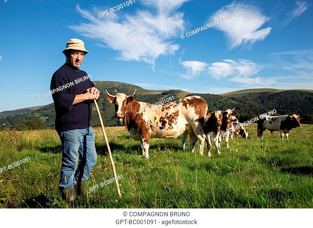 FARMER WITH HIS FERRANDAISE COWS, THE MONT-DORE, SANCY MOUNTAIN, PUY-DE-DOME (63), AUVERGNE, FRANCE