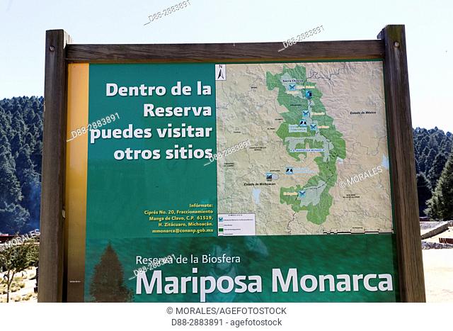 Central America, Mexico, State of Michoacan, Angangueo, Reserve of the Biosfera Monarca Sierra Chincua, where the monarch butterflies (Danaus plexippus)