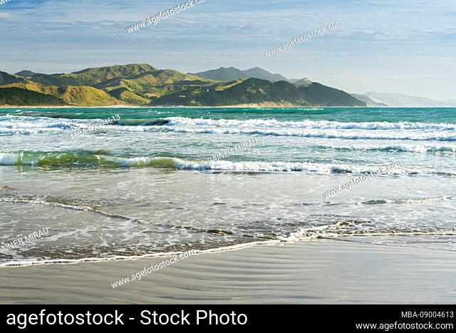 Coast at Castle Point, Wellington, North Island, New Zealand, Oceania
