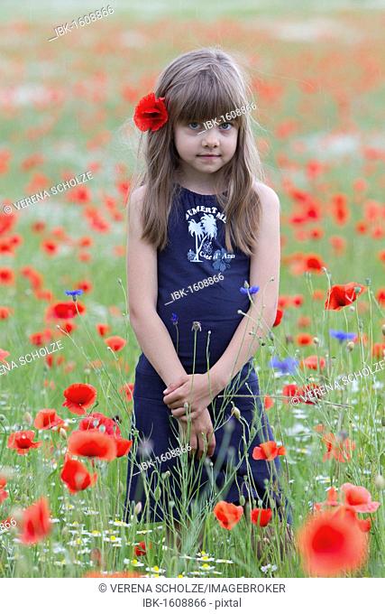 Little girl standing in a poppy field