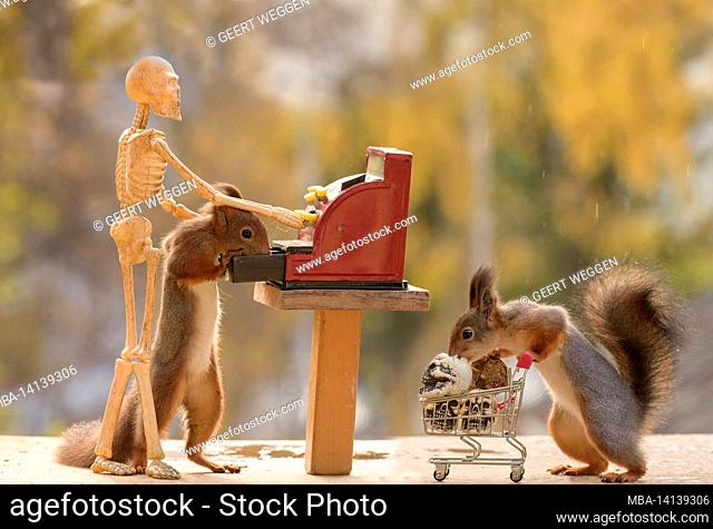 red squirrel are holding a shopping cart and skeleton with a cash register