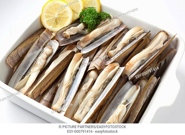 Dish with fresh cooked razor clams close up on white background