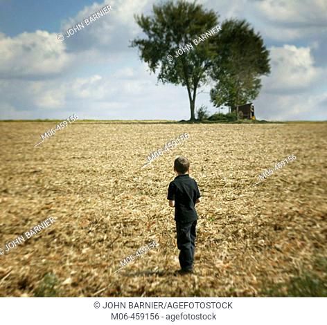 A boy looks to a copse of trees