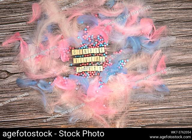 Gender reveal party written with wooden cubes surrounded with colorful bright pastel feathers for baby. boy, girl, party