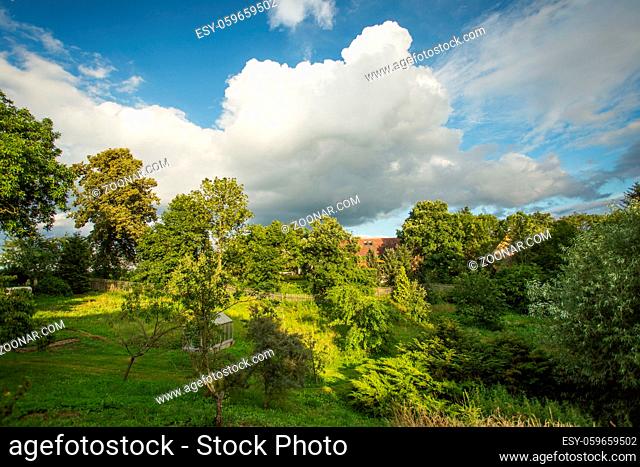 Scenic Summertime View of a Beautiful European rural Landscape Garden with a Green Lawn, Leafy Trees and nice sky with cluds