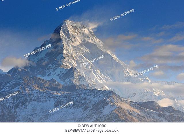 Nepal, Ghorepani, Poon Hill, Dhaulagiri massif, Himalaya, Annapurna South view from Poon Hill, Himalaya
