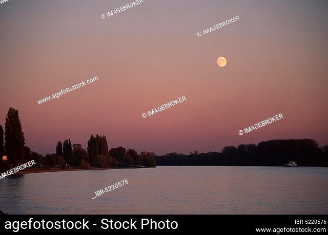 River Rhine at dusk, Hattenheim, Hesse, Rhine at dusk, Hattenheim, Rheingau, Hesse, Germany, Europe