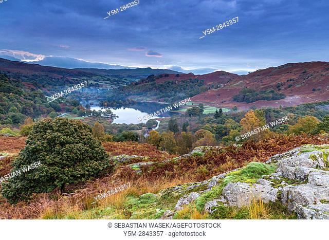 A view over Rydal Water from White Moss Common, Lake District National Park, Cumbria, England, United Kingdom, Europe