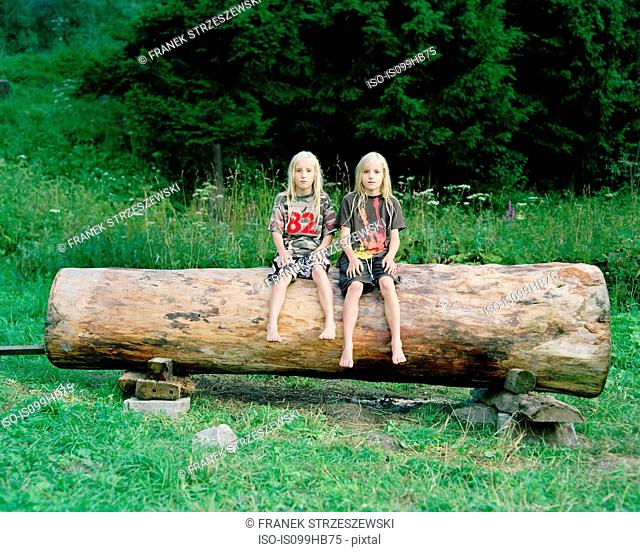 Twin brothers on a log, Nowica, Poland