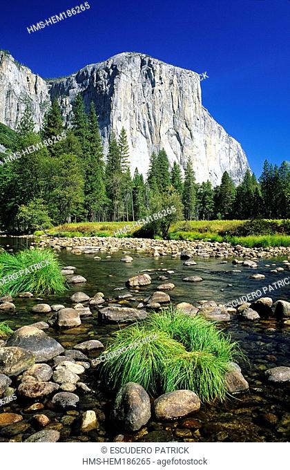 United States, California, Yosemite National Park listed as World Heritage by UNESCO, El Capitan and the Merced river