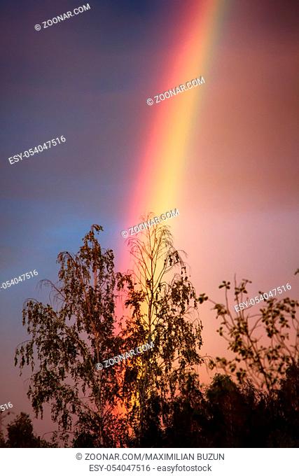 Double rainbow over forest, primary rainbow, second-order rainbow, bright picture, rainbow palette. Atmospheric phenomenon, optical phenomenon, weather event