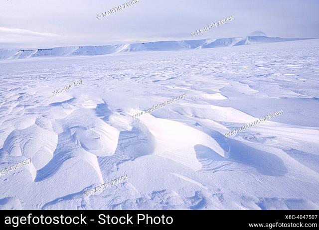 Landscape with Sastrugi between glaciers Rabotbreen and Koenigsbergbreen during winter, the island Spitzbergen in the Svalbard archipelago