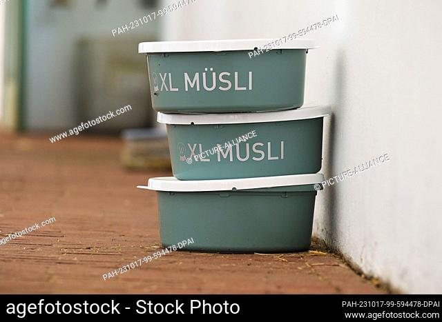 PRODUCTION - 23 September 2023, Brandenburg, Neustadt (Dosse): Special muesli feed for horses stands on the floor in a stable at the Neustadt (Dosse) State Stud