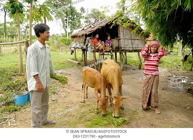 CAMBODIA. Sin Vorn 32 and his wife Lib Khan 23 owners of two cows and beneficiaries of DPA animal husbandry project, Ban Bung village, Stung Treng district