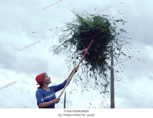 Finland, woman forking ball of vegetation onto pole