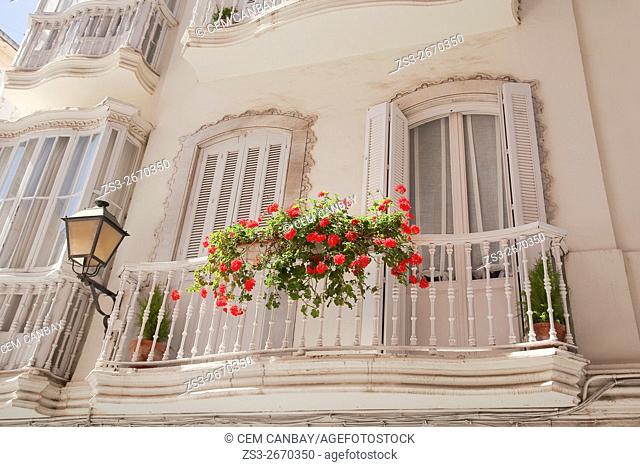 Geranium flowers on the balcony of an old house, Cadiz, Andalusia, Spain, Europe