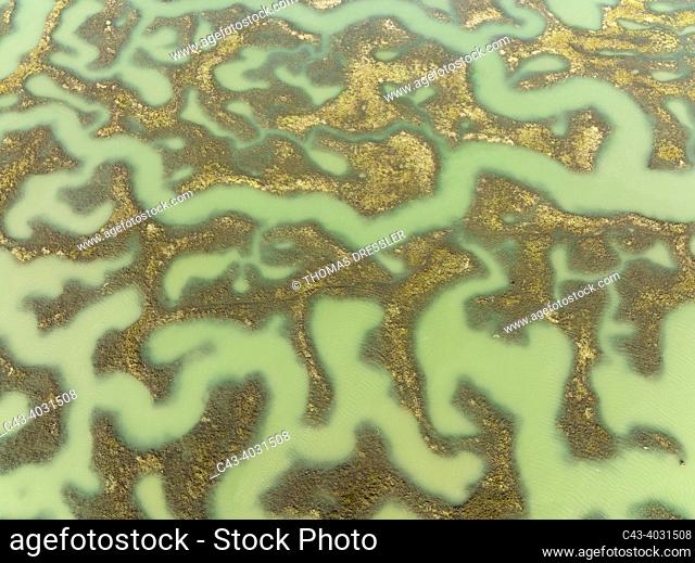 Network of channels and streams at low tide. In the marshland of the Bahía de Cádiz. Aerial view. Drone shot. Cádiz province, Andalusia, Spain