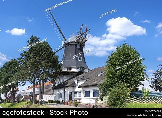 Galerieholländer Windmühle in der Mühlenstrasse, Carolinensiel, Niedersachsen, Deutschland, Europa
