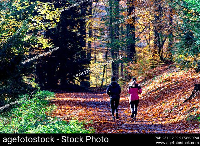 12 November 2023, North Rhine-Westphalia, Remscheid: Runners are on their way through the autumnal forest at the Eschbach dam near Remscheid in the Bergisches...