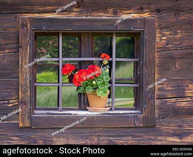 Flowerpot in the window of a historic wooden farmhouse. Open Air Museum Finsterau, Bavarian Forest, Germany, Europe