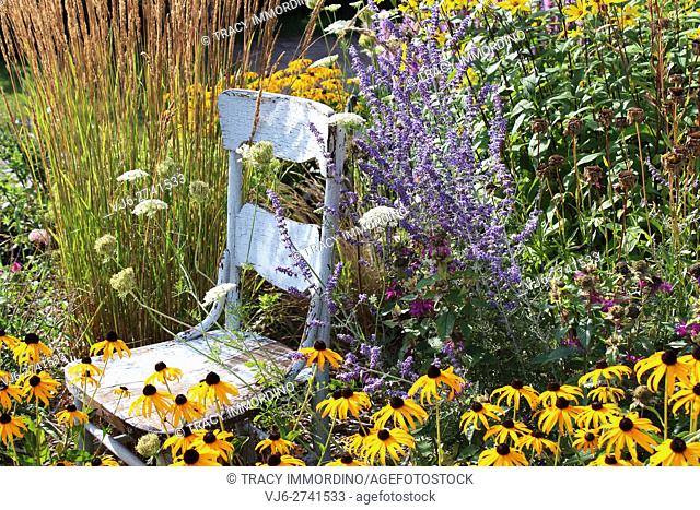 A rustic, blue, wooden chair in a garden surrounded by tall grasses, Black Eyed Susans, Queen Anne's Lace, Lavender, and Bee Balm