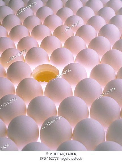 Many white eggs, one broken open