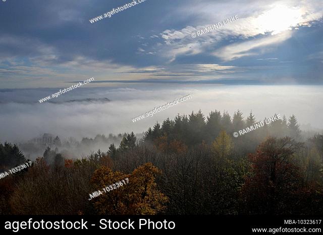 View from the mountain in morning to sea of clouds in autumn, Katzenbuckel, Waldbrunn, Odenwald, Baden-Württemberg, Germany