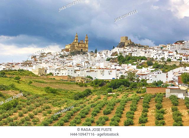 Spain, Europe, Andalucia, Region, Province, Olvera, City, agriculture, architecture, castle, church, colourful, landscape, olive, pueblo, skyline, spring
