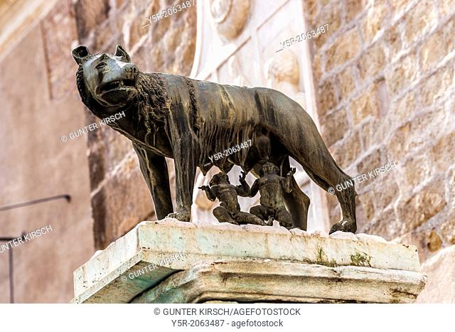 Capitoline Wolf Lupa Capitolina is a wolf character. The wolf is suckle Romulus and Remus, the mythical founders of Rome