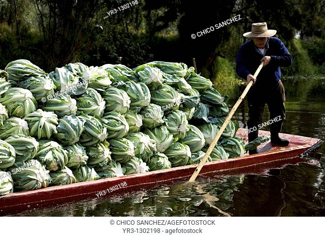 A man carry vegetable in a boat in the water canals of Xochimilco in southern Mexico City, January 18, 2009  The water canals and gardens in Xochimilco was once...