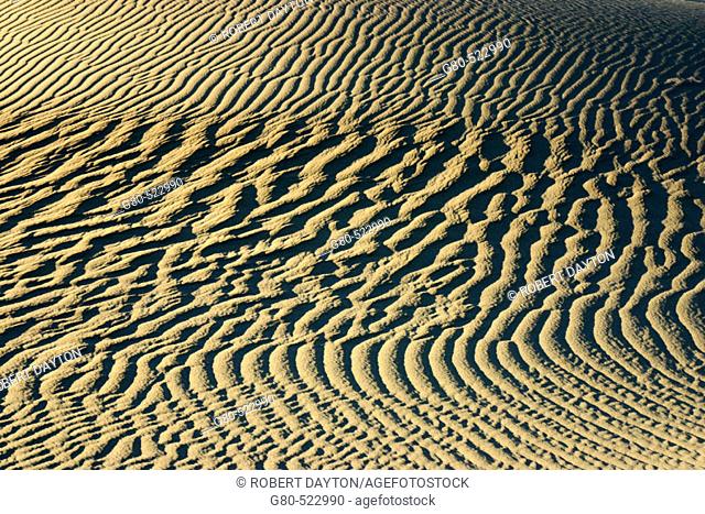 Mesquite Sand Dunes, Death Valley NP. California. USA