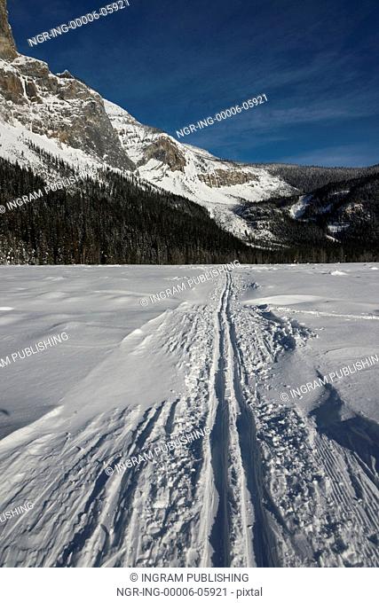 Ski tracks in snow covered landscape with mountain in winter, Emerald Lake, Field, British Columbia, Canada