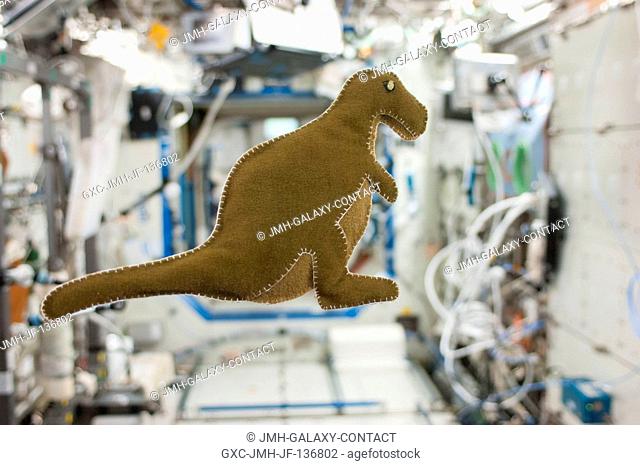 NASA astronaut Karen Nyberg, Expedition 37 flight engineer, made this stuffed dinosaur toy aboard the International Space Station