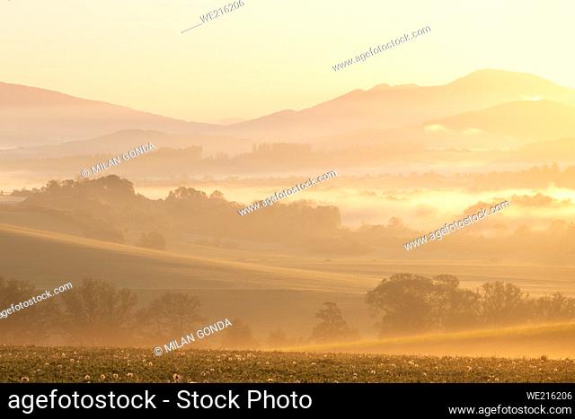 Morning fog in Turiec basin and floodplain of river Turiec, Slovakia