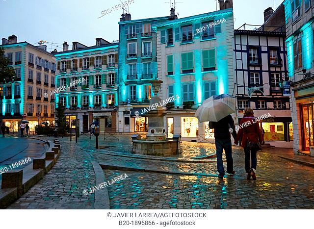 Rain, Christmas lights, Place Pasteur, Bayonne, Aquitaine, Pyrénées-Atlantiques, Basque country, 64, France