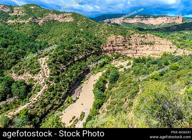 Spain, autonomous community of Aragon, Sierra y Cañones de Guara natural park, canyon of the Alcanadre river at Bierge, Aleppo pines and green oak trees