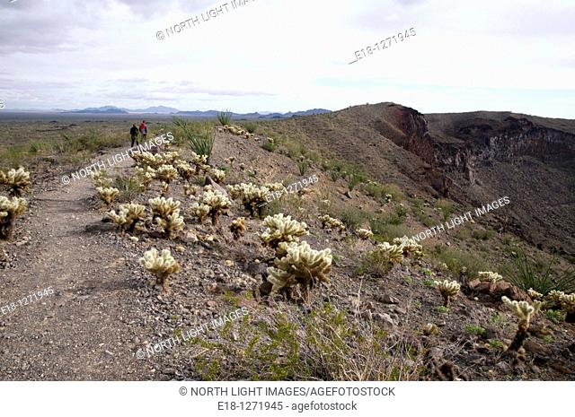 Mexico, Sonora, Rocky Point, Puerto Penasco  Pinacate Biosphere Reserve  The rim of El Elegante volcanic crater