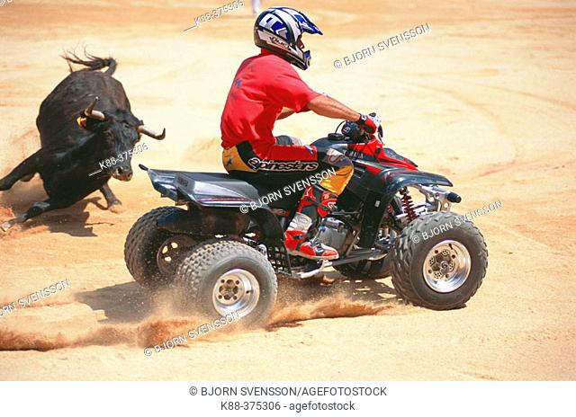 'Recortador' with motor bike, bloodless form of bullfighting. Pamplona. Navarre, Spain