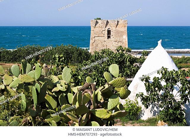 Italy, Puglia, Bari province, Polignano a Mare, San Vito, whitewashed trullo old dry stone building with slate roof with 16th century watch tower in the...