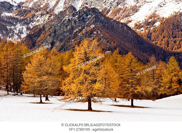 Orsiera Rocciavre Park, Chisone Valley, Turin, Piedmont, Italy. Autumn Orsiera Rocciavre Park