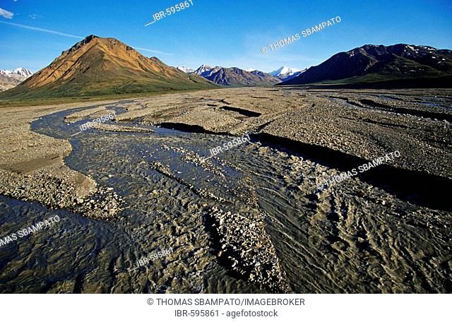 Wide riverbed and far-branching rivers flowing from the mountains of the Alaska Range, Denali National Park, Alaska, USA