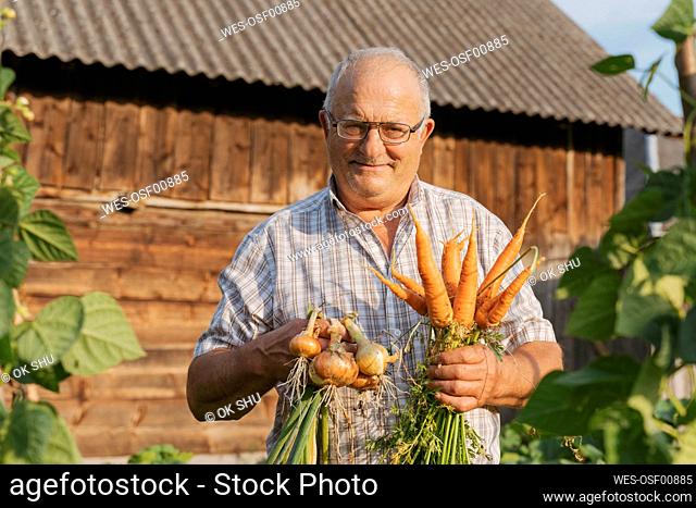 Smiling man holding carrots and onions standing at back yard on sunny day