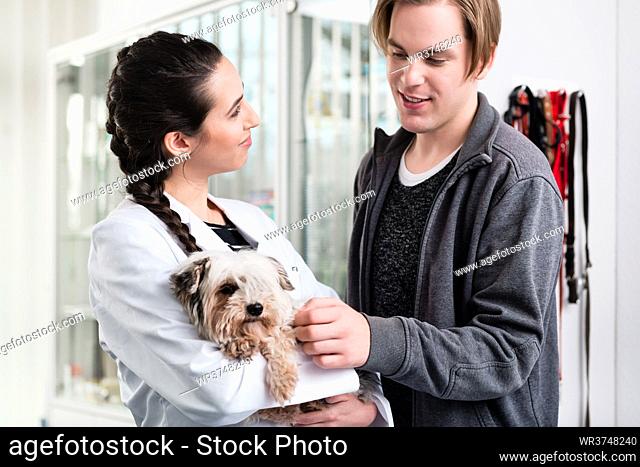Happy female veterinarian carrying sick puppy in hospital
