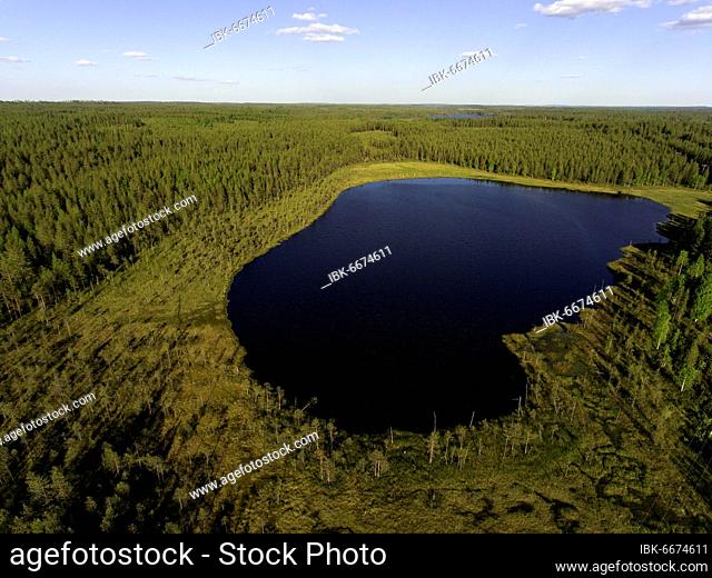 Lake, bog and forests near Suomussalmi, aerial view, Kainuu, Finland, Europe