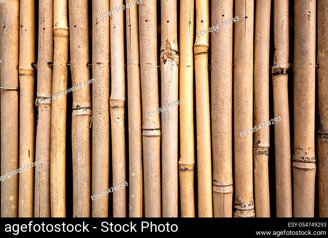 yellow bamboo wall background, traditional homemade fence