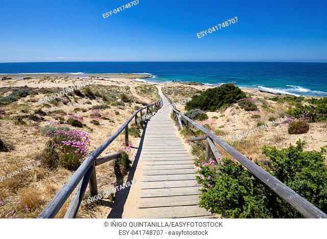 wooden walkway down to the beach and ocean coast in Cape Trafalgar, near Canos Meca village (Barbate, Cadiz, Andalusia, Spain), blue sky