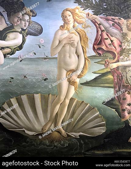 The birth of Venus by Allesandro Filipepi, detto Botticelli 1445 - 1510. Tempera on canvas. The Uffizi Gallery is a prominent art museum located adjacent to the...